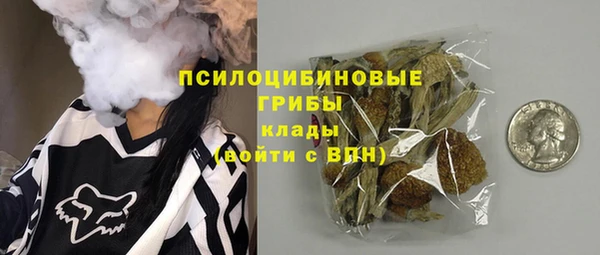 дживик Рославль
