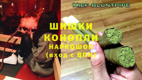 ешки Дегтярск