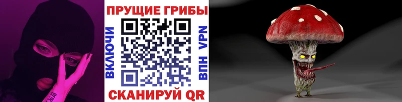 Галлюциногенные грибы прущие грибы  hydra как зайти  Агрыз 